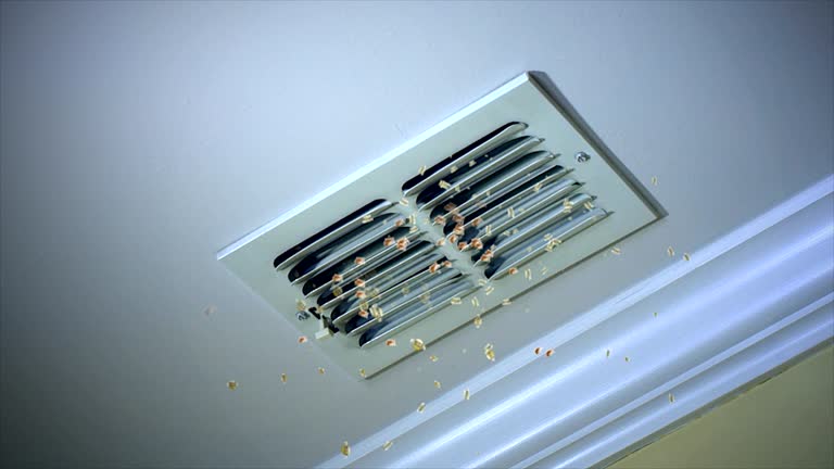 Best Residential Air Duct Cleaning  in Murphys Estates, SC