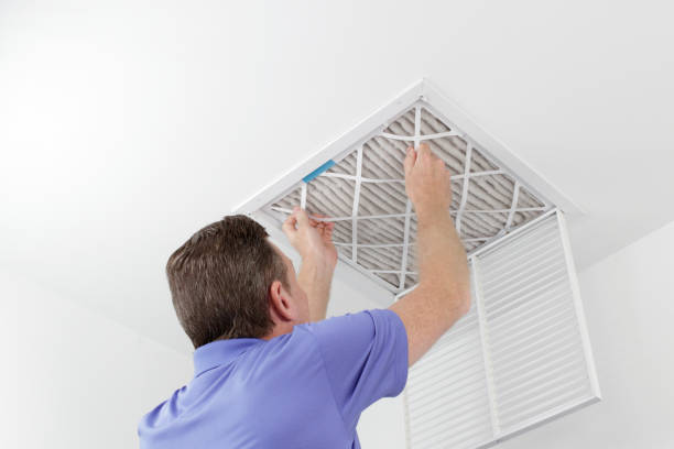 Best Dryer Vent Cleaning Services  in Murphys Estates, SC